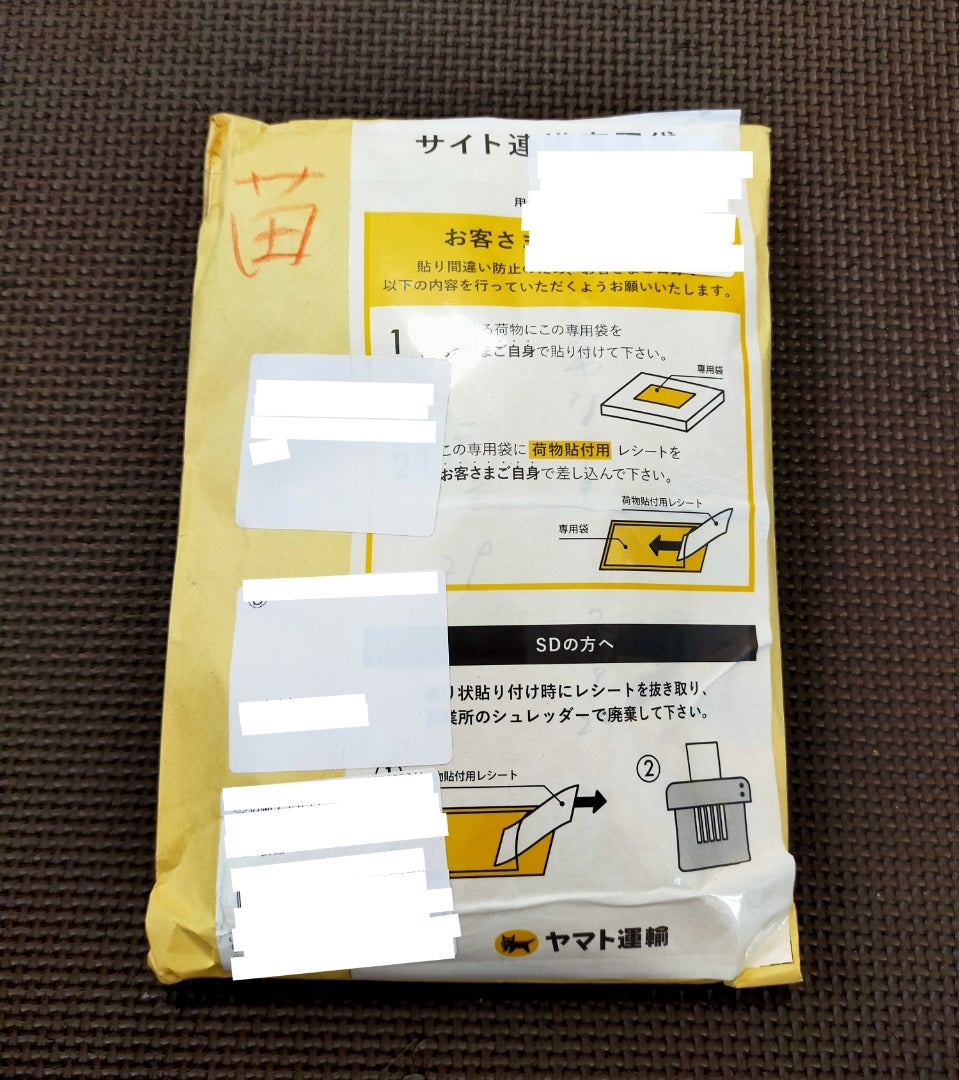 楽天ラクマでハーブの苗を購入して封筒で届いた苗